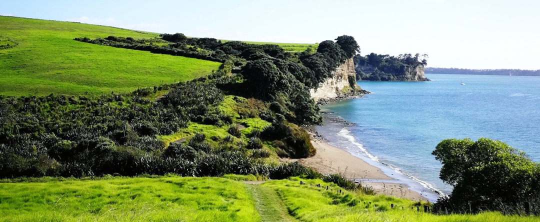 Long Bay coastal walkway