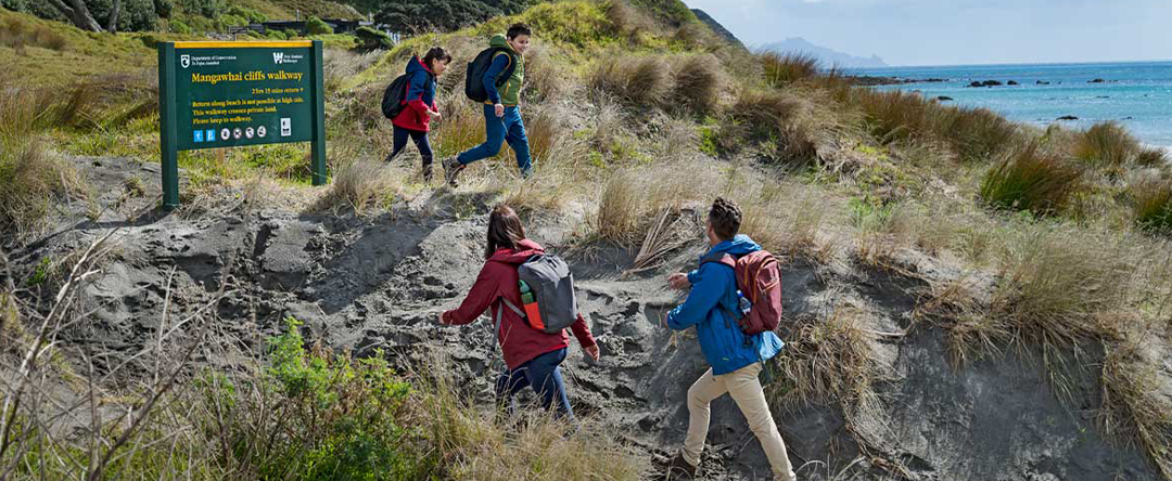 Mangawhai Cliffs Walkway