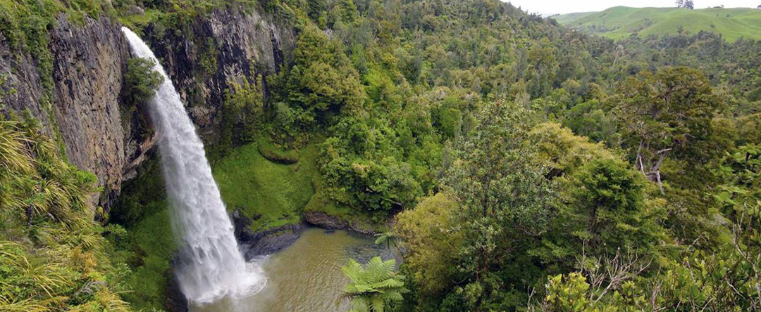 Waireinga / Bridal Veil Falls Raglan