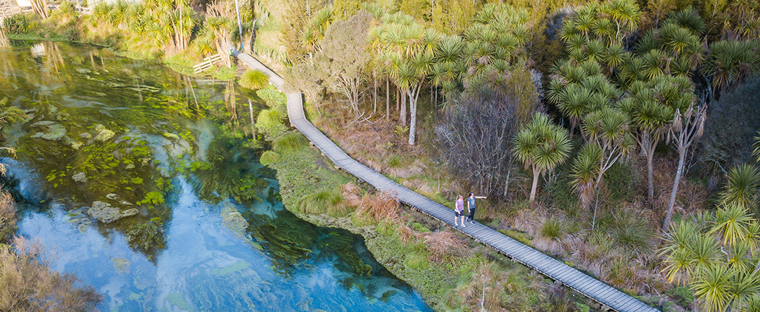 Blue Spring - Te Waihou Walkway