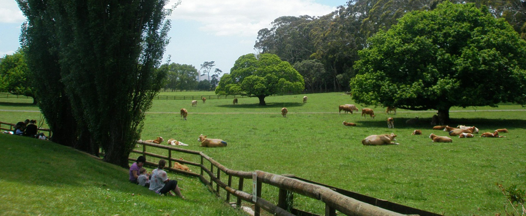 Cornwall Park