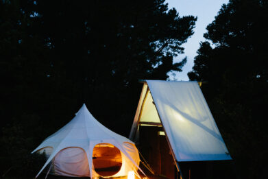 Wild Forest Glamping
