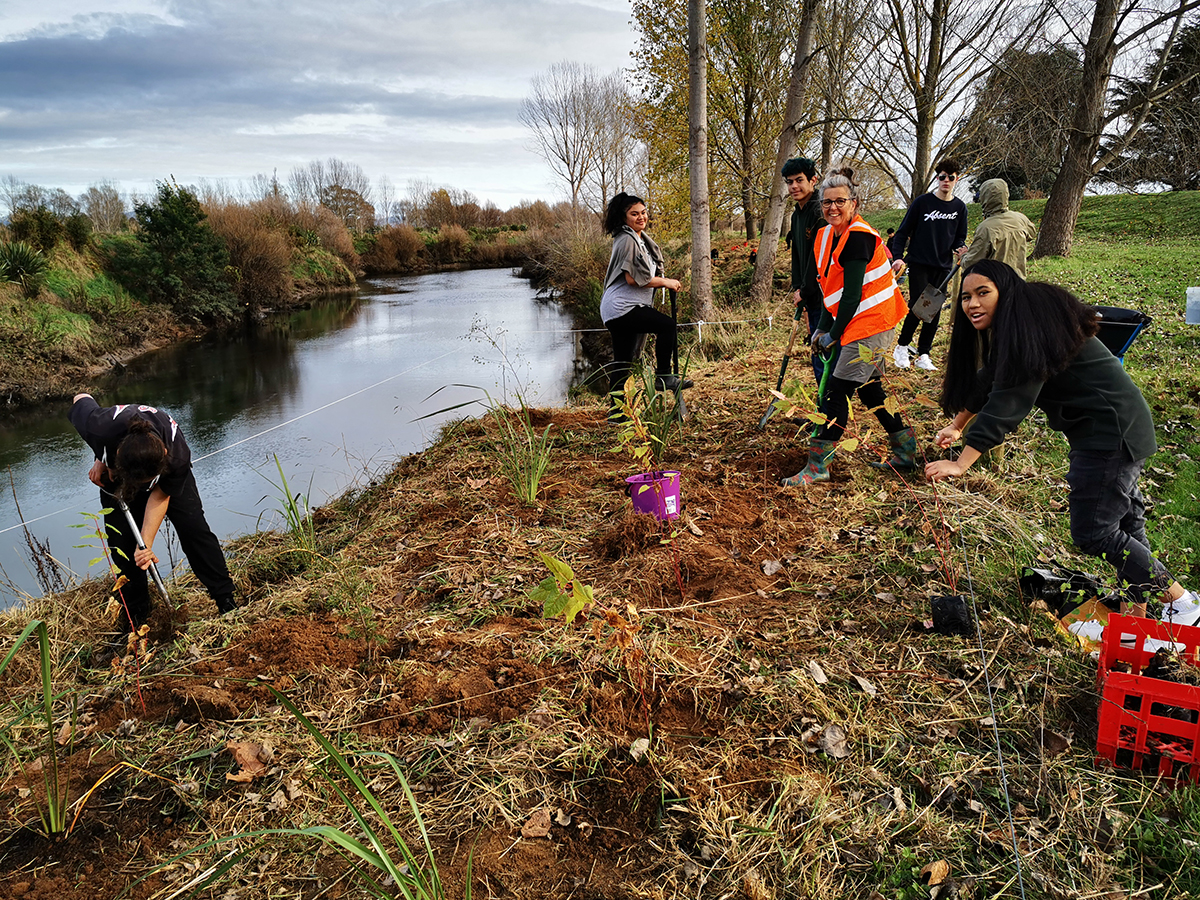 Trees for Survival Goldfields School Paeroa and Waikato Regional Council.