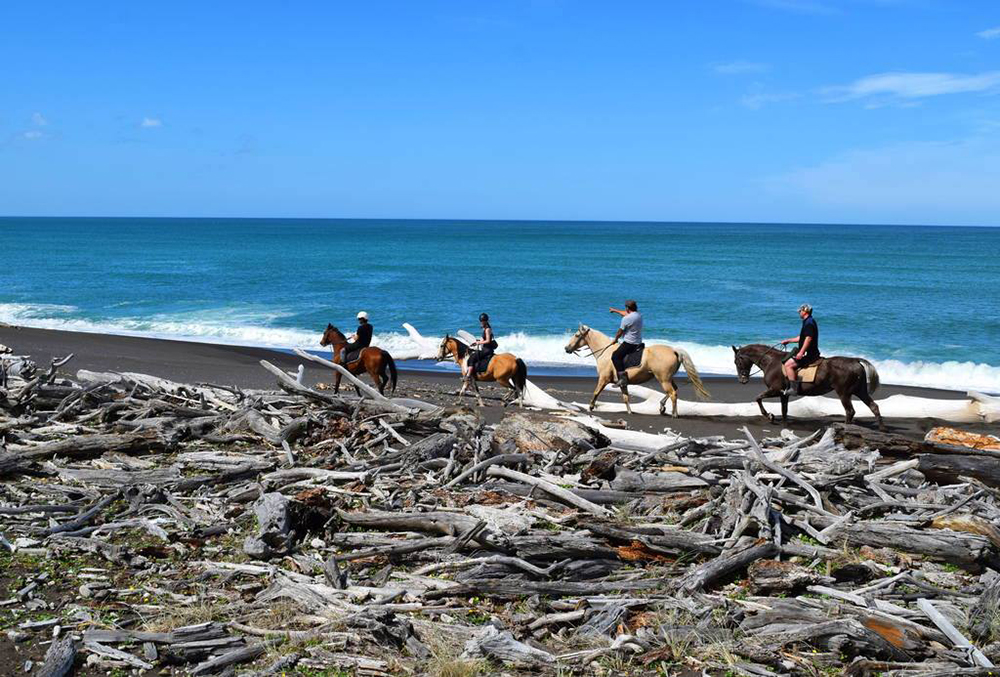 outonalim Out on a lim