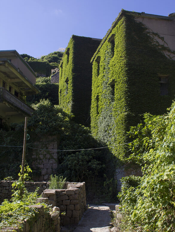 Houtouwan, China's ghost fishing village swallowed by nature. Si