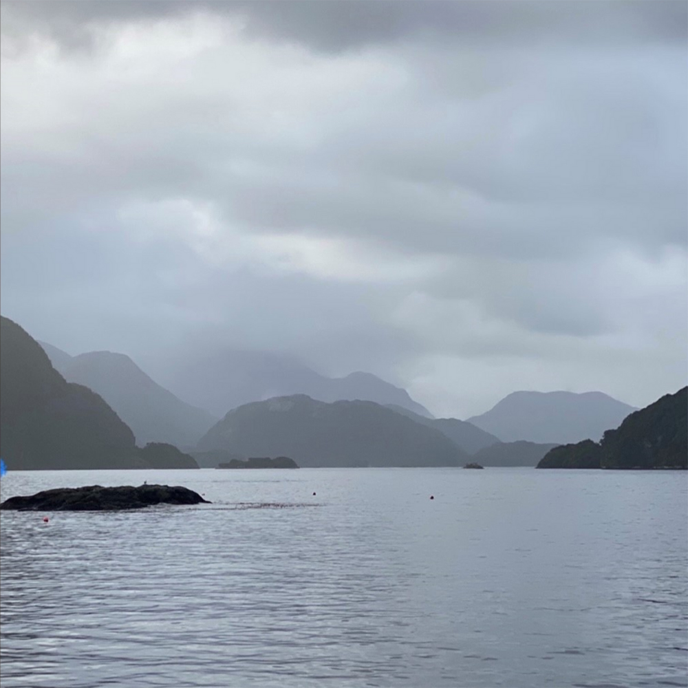 FIORDLAND REFERENCE IMAGE FROM THE ARTIST. 