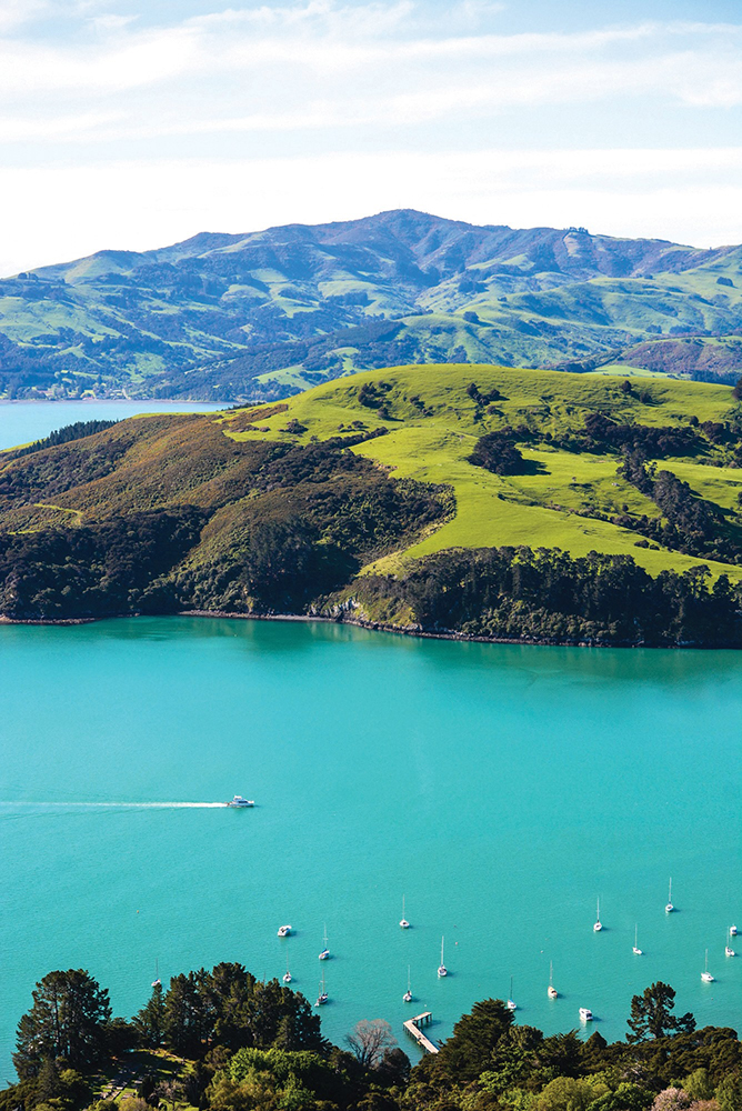 Our Catamaran Into the Blue in French Bay, Akaroa Our Catamaran Into the Blue in French Bay, Akaroa
