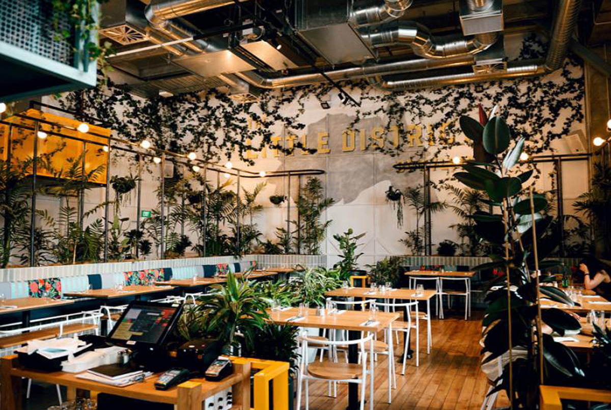 kid friendly cafe - little district kid friendly cafe - little district