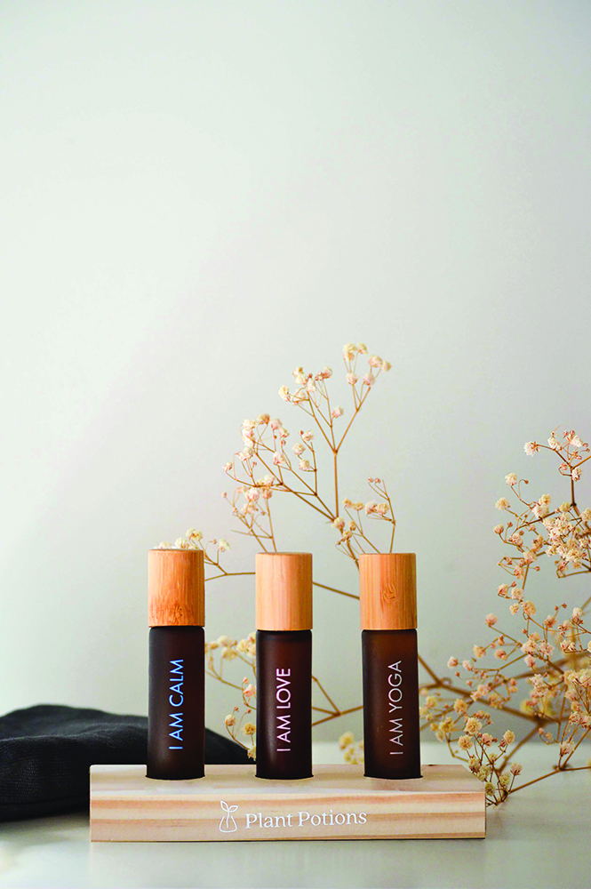 Christmas Wishlist Plant Potions