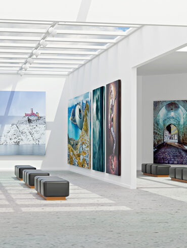 the eye of the curator