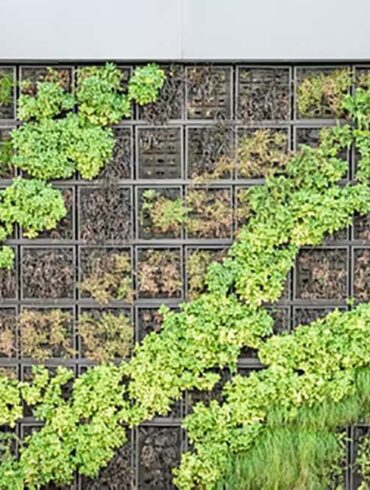 Vertical Garden