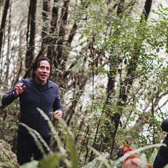 Maruia River Retreat