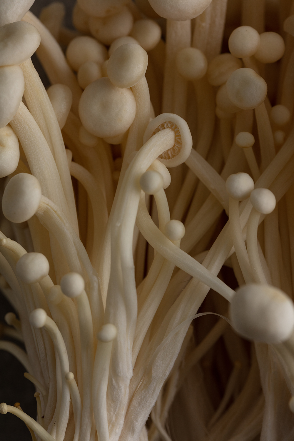 Mushrooms