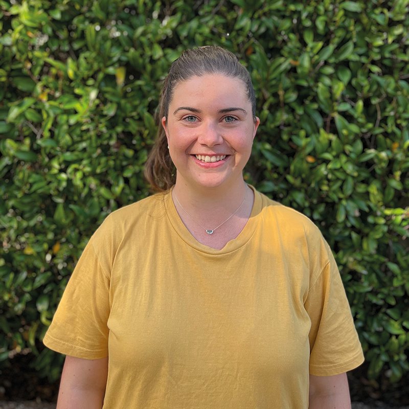 Box - The Architect Builder