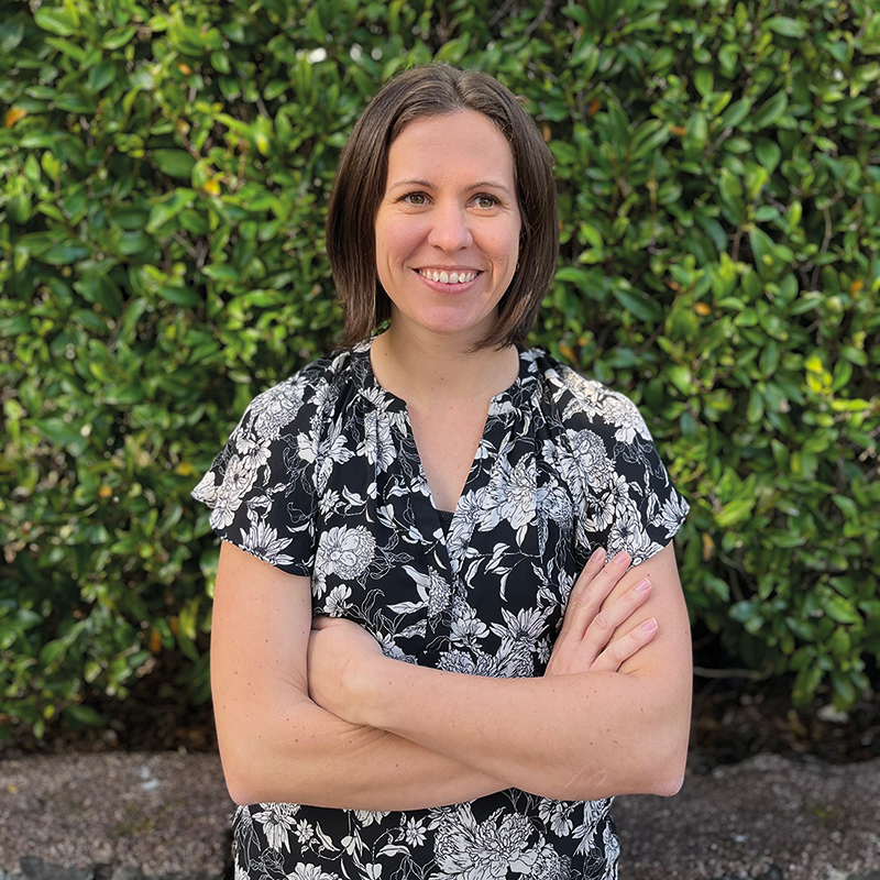 Box - The Architect Builder