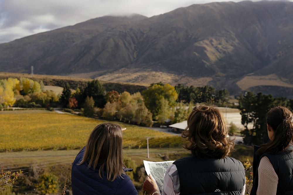 COALPIT_overlooking vineyard