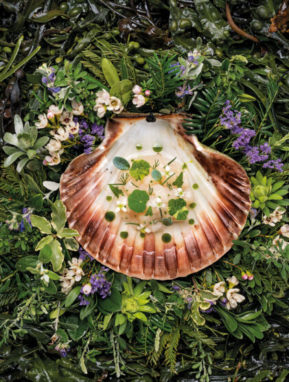 scallop tartare recipe