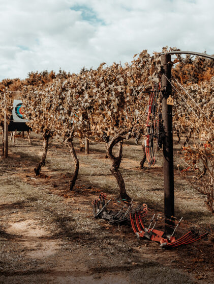 Wild Estate Vineyard
