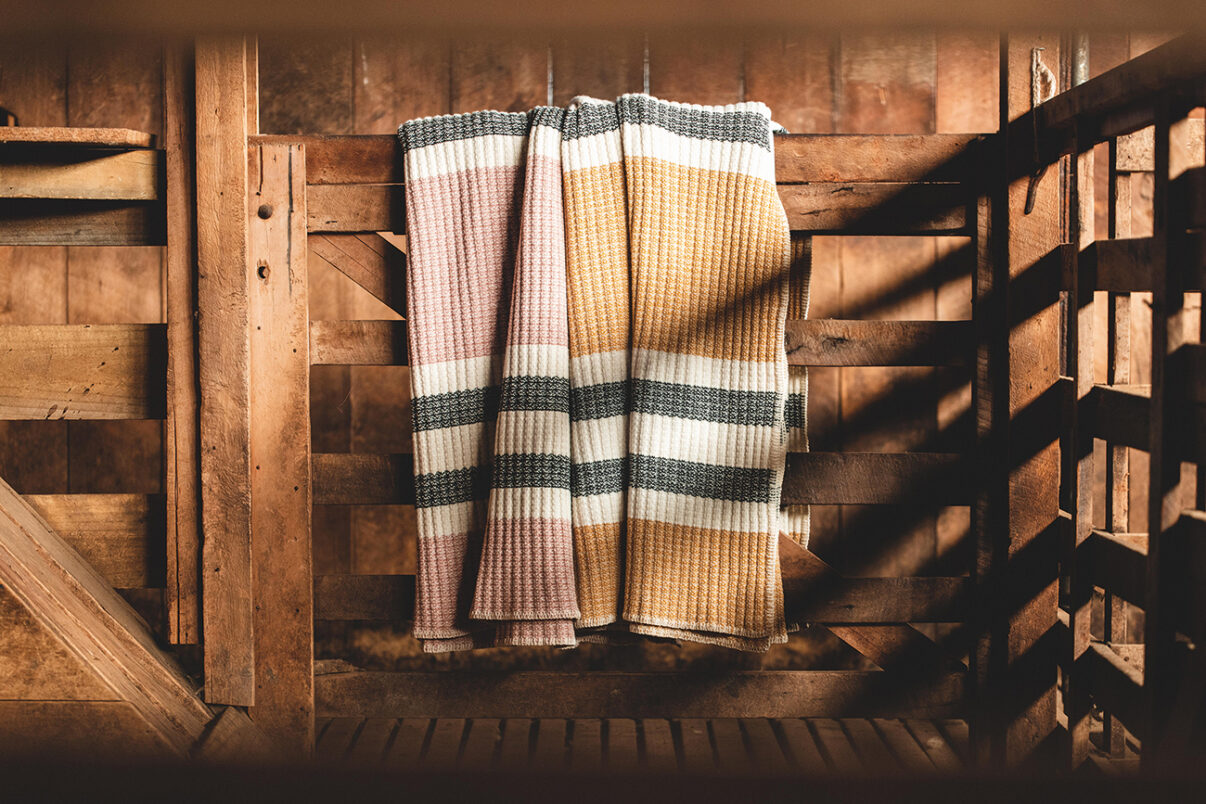 The Grumpy Merino - Verve Magazine
