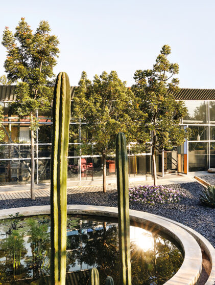 Johannesburg