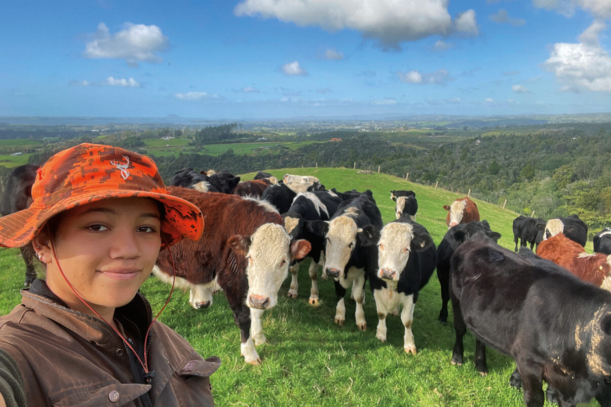 Kyaria-Warbrick dairy farming