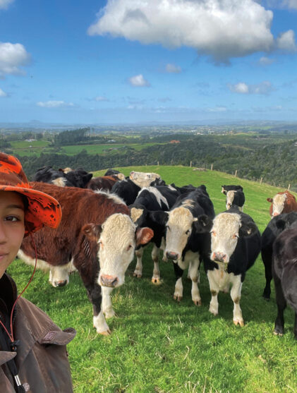 Kyaria-Warbrick dairy farming