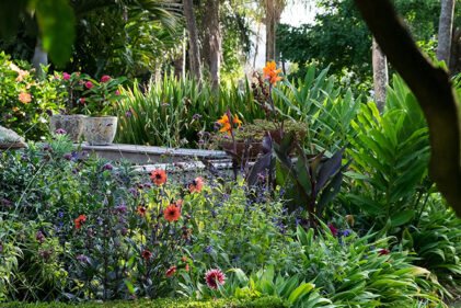 Auckland Garden Designfest