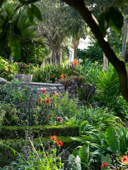 Auckland Garden Designfest