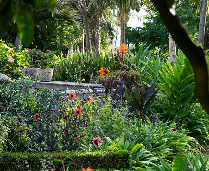 Auckland Garden Designfest
