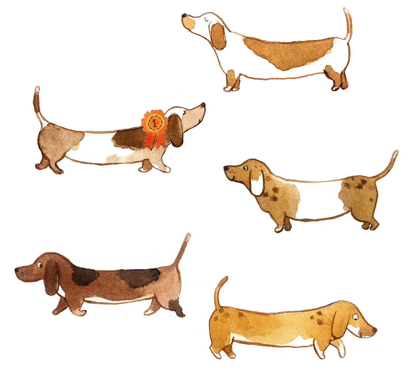 Cat-Champman-dachshunds Cat-Champman-dachshunds