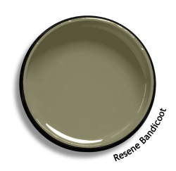 Resene_Bandicoot