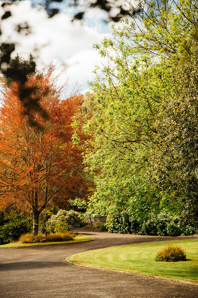 MaruiaRiverRetreat_LodgeDriveway_MolawinEvangelista_Oct2022