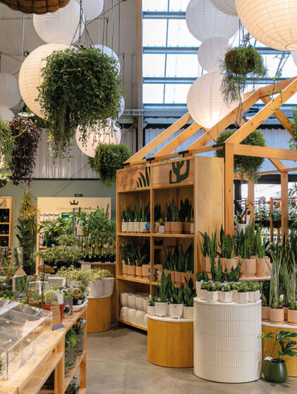 kings plant barn