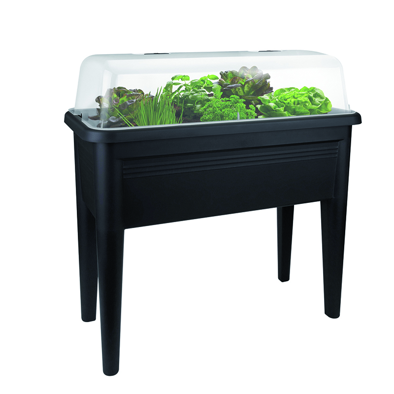 Palmers Gardenworld Remuera