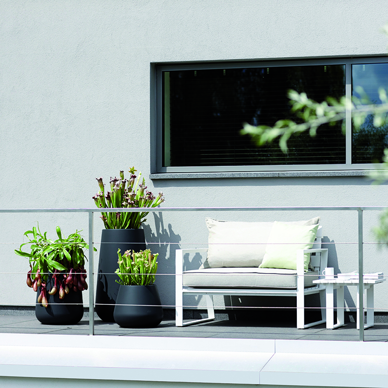 Palmers Gardenworld Remuera