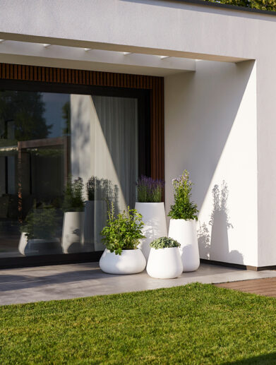 Palmers Gardenworld Remuera