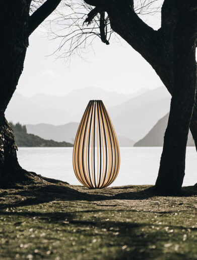 kiwi creatives