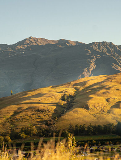 Kawarau Heights