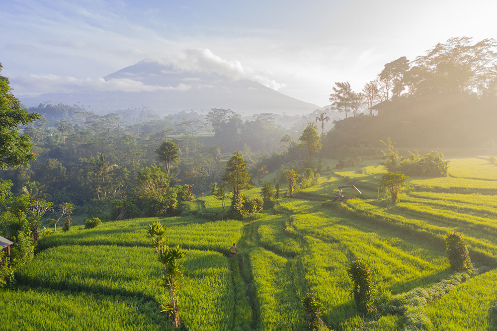 She Evolves | Bali - The Life Retreat She Evolves | Bali - The Life Retreat