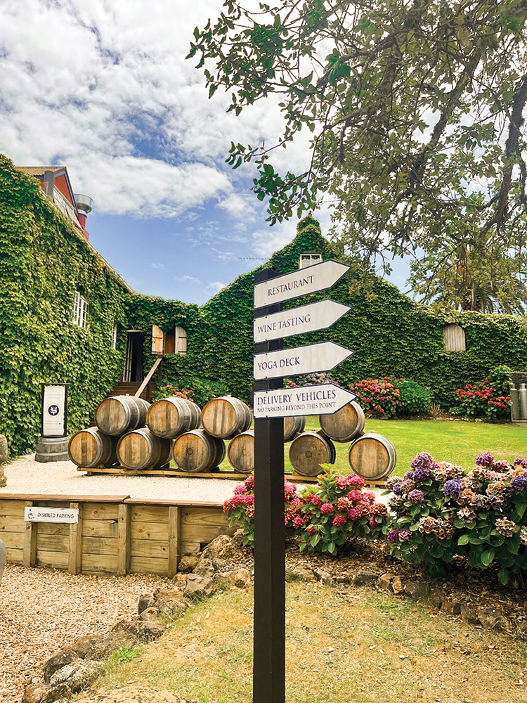 Waiheke Wine Tours
