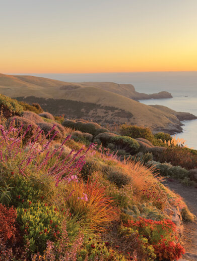 Fishermans-Bay-Garden