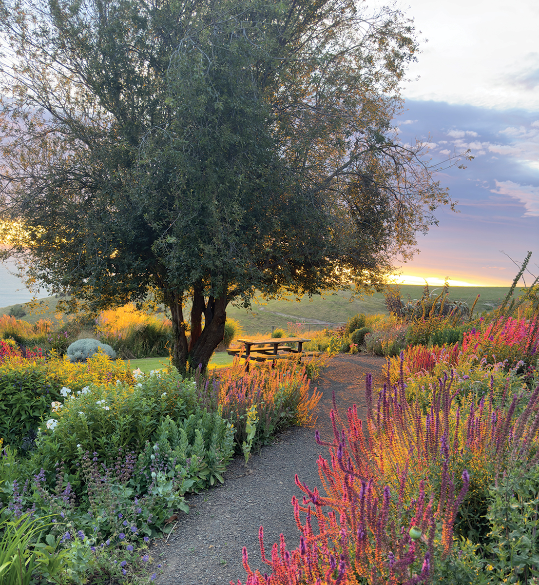 Fishermans-Bay-Garden