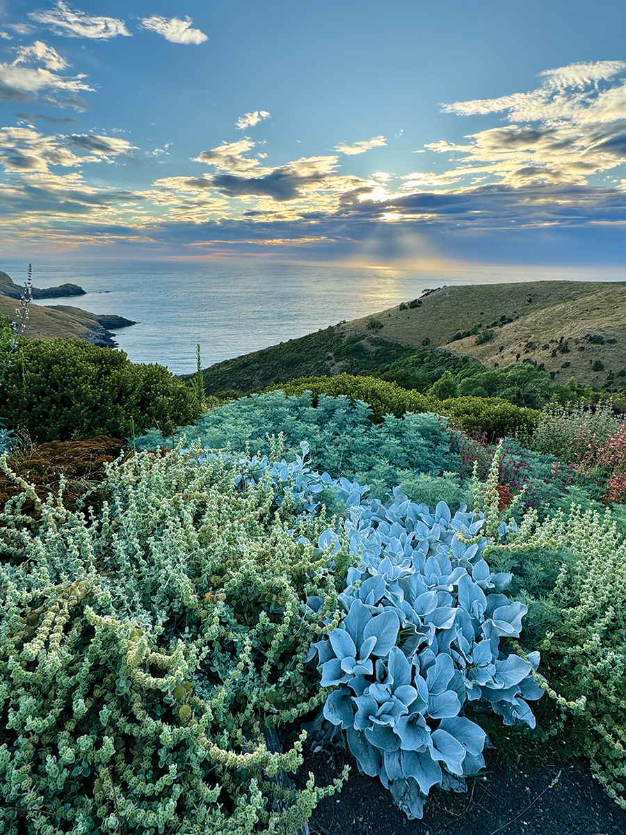 Fishermans-Bay-Garden