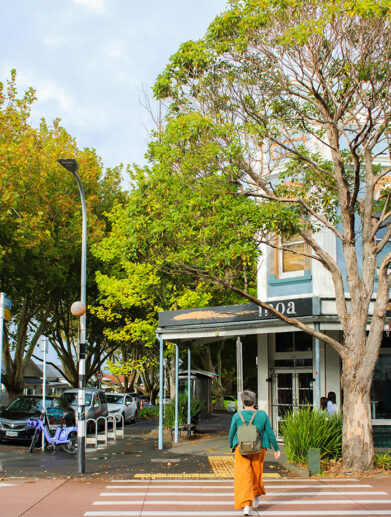 grey lynn