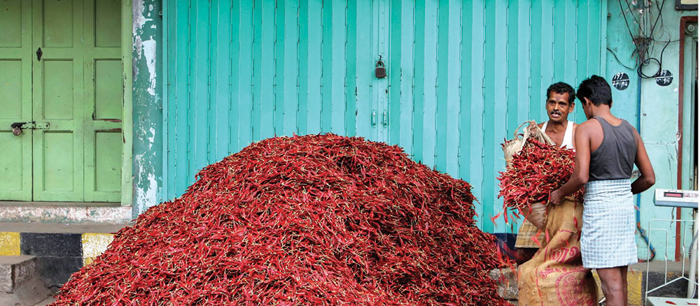 World Expeditions Chilli