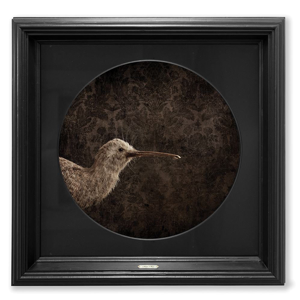 Jae Frew Kiwi_No1_frame