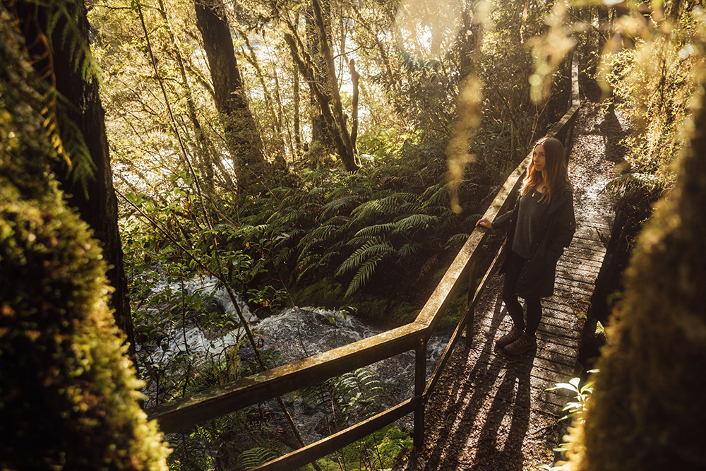 Private Nature Trails Maruia River Retreat