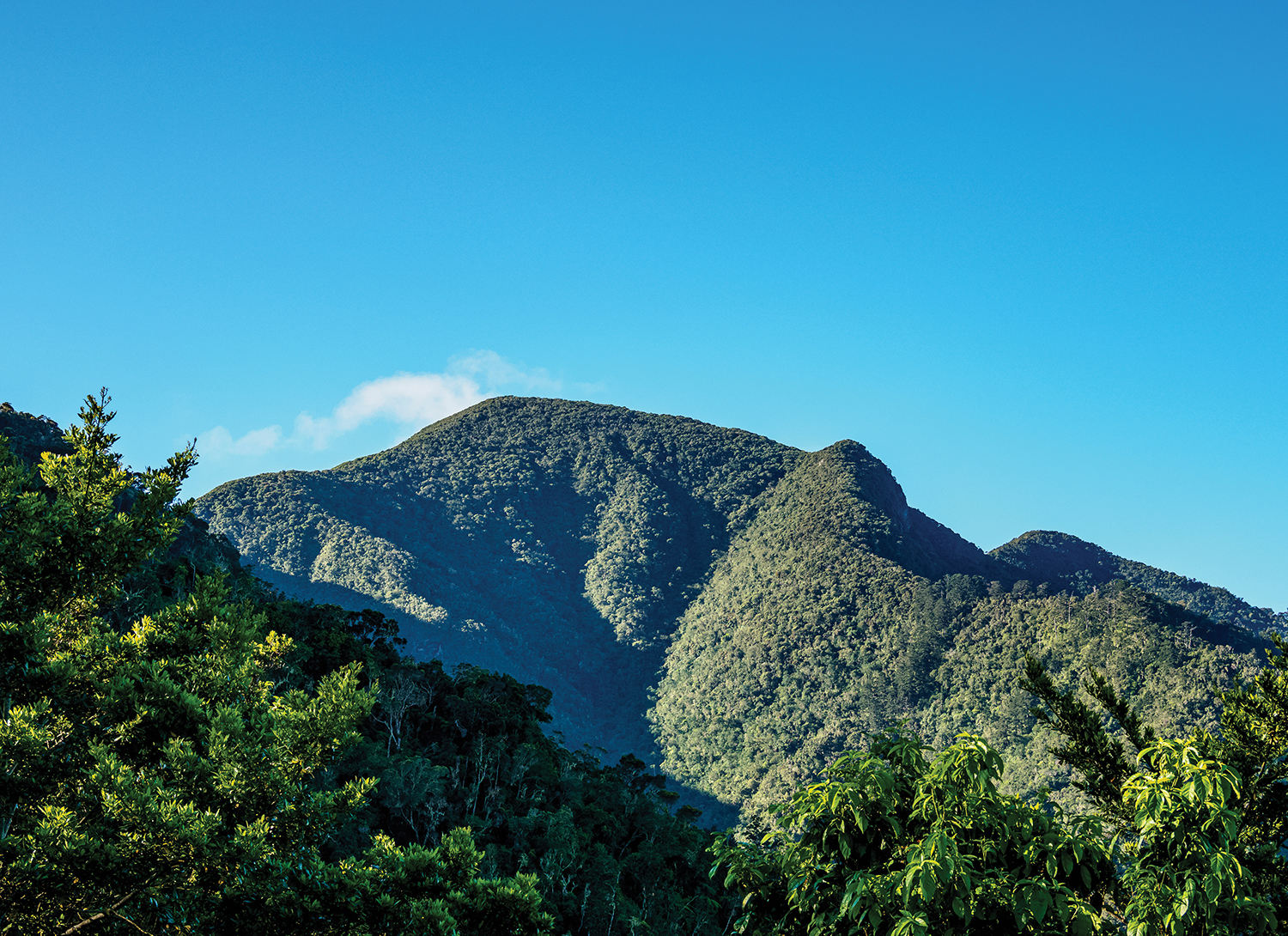 Cuba Mountain PICO TURQUINO