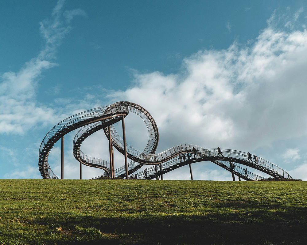 Tiger and Turtle