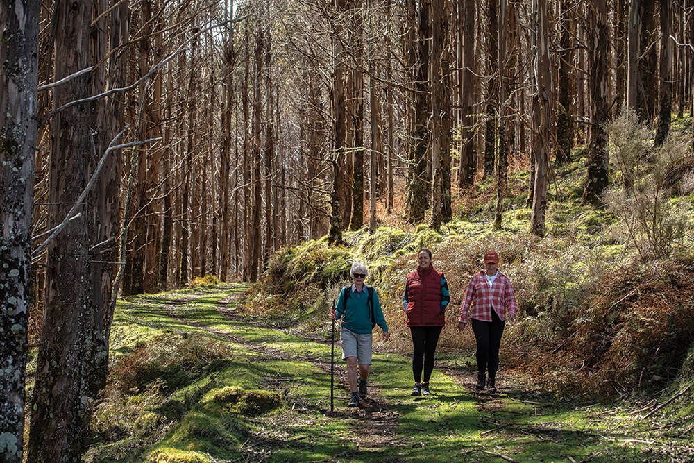 Poronui - Guided Hiking